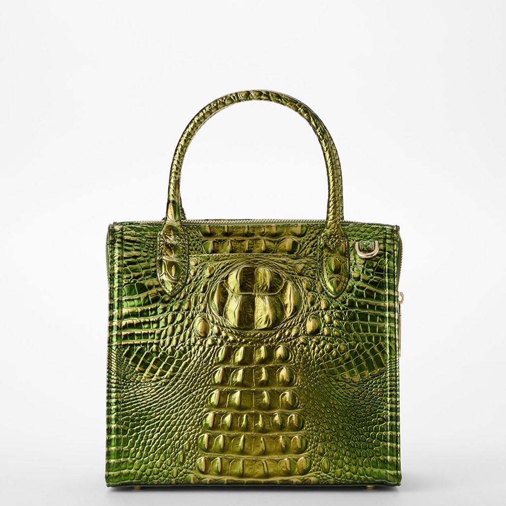 Brahmin Small Caroline - Cacti Green Melbourne