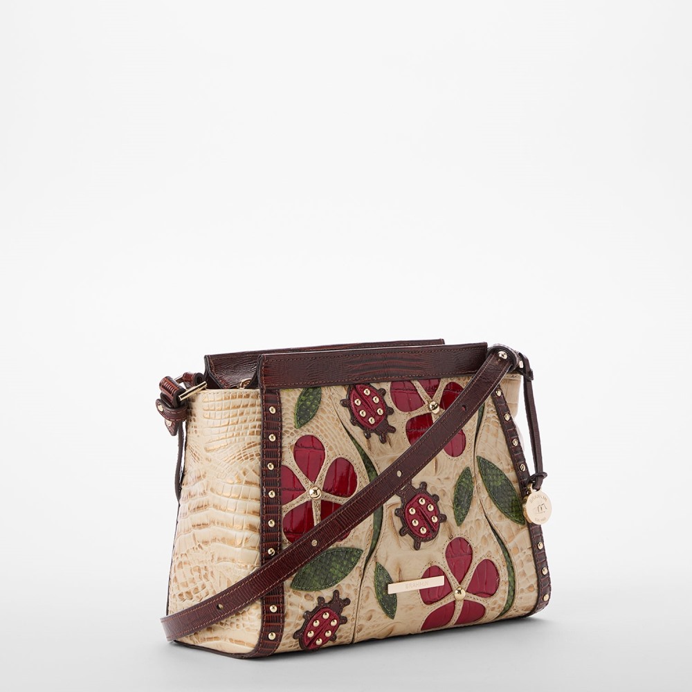 Brahmin Hillary - Sandstorm Ladybird