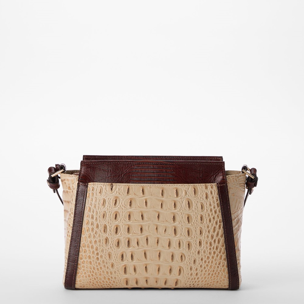 Brahmin Hillary - Sandstorm Ladybird
