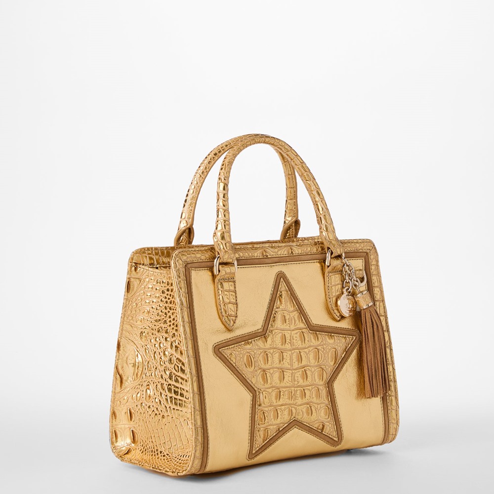 Brahmin Cami Leather Satchel - Gold Peyson