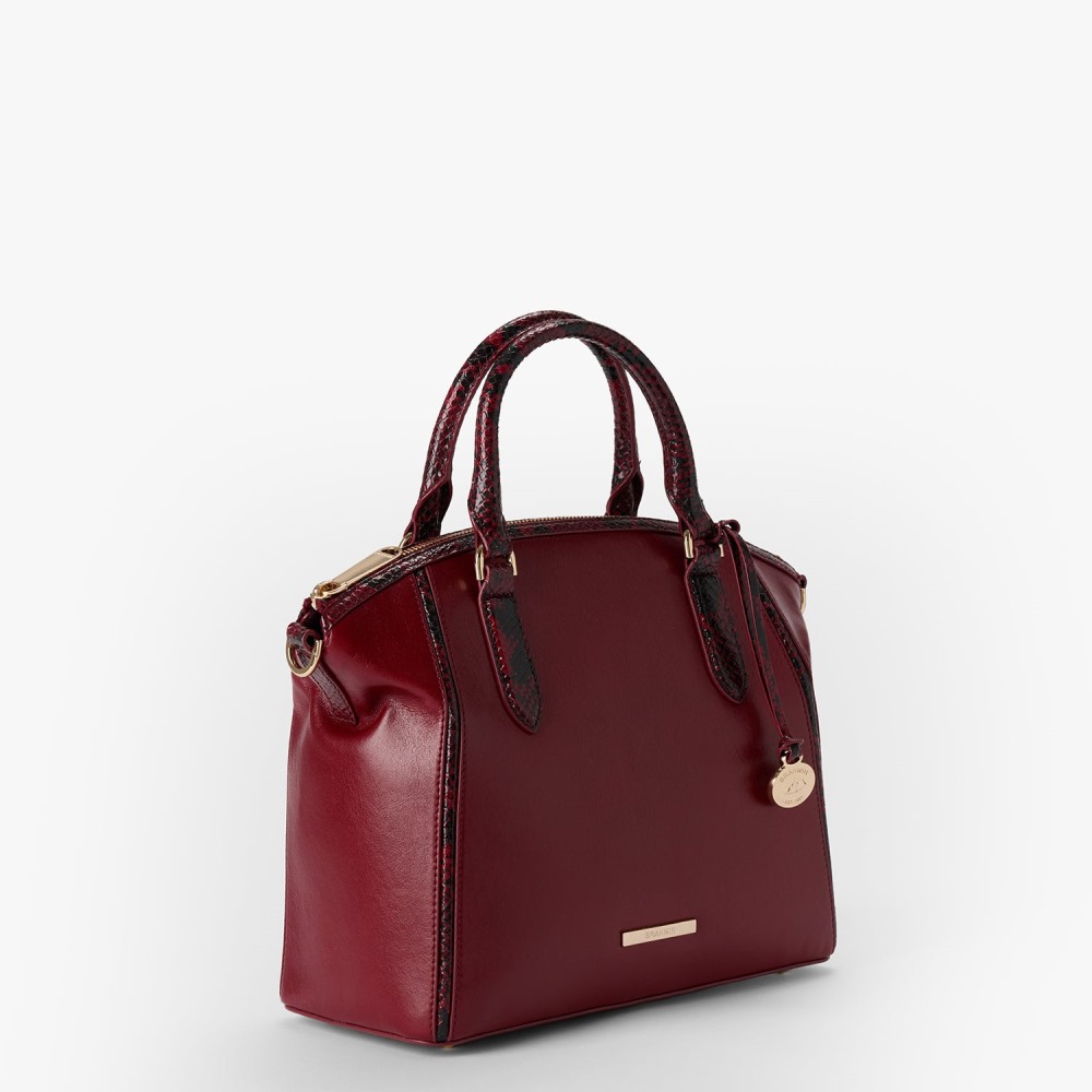 Brahmin Duxbury Leather Satchel - Embrace Dietrich
