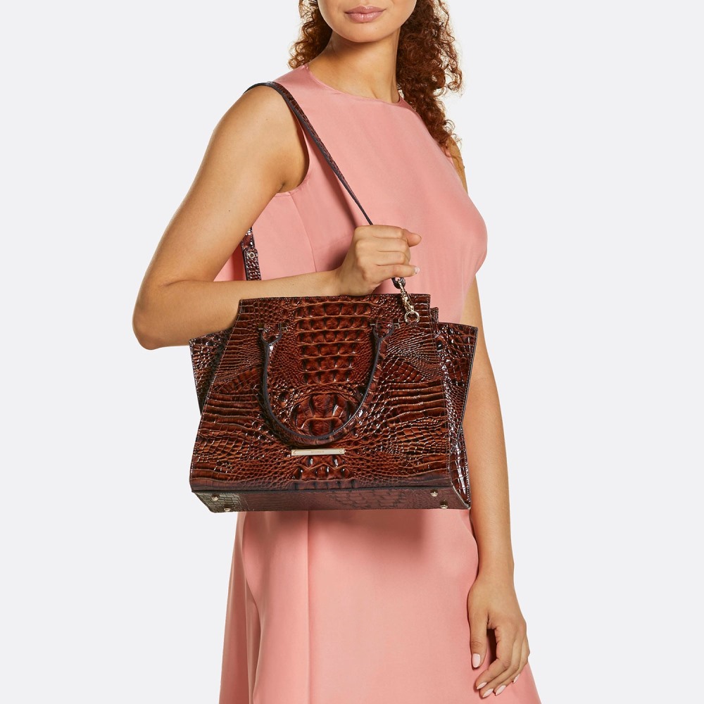Brahmin Priscilla Satchel - Multi Sunbeam