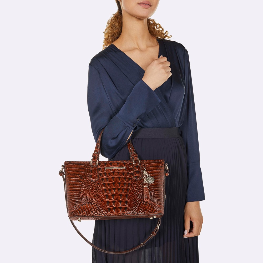 Brahmin Mini Asher Satchel - Black Melbourne