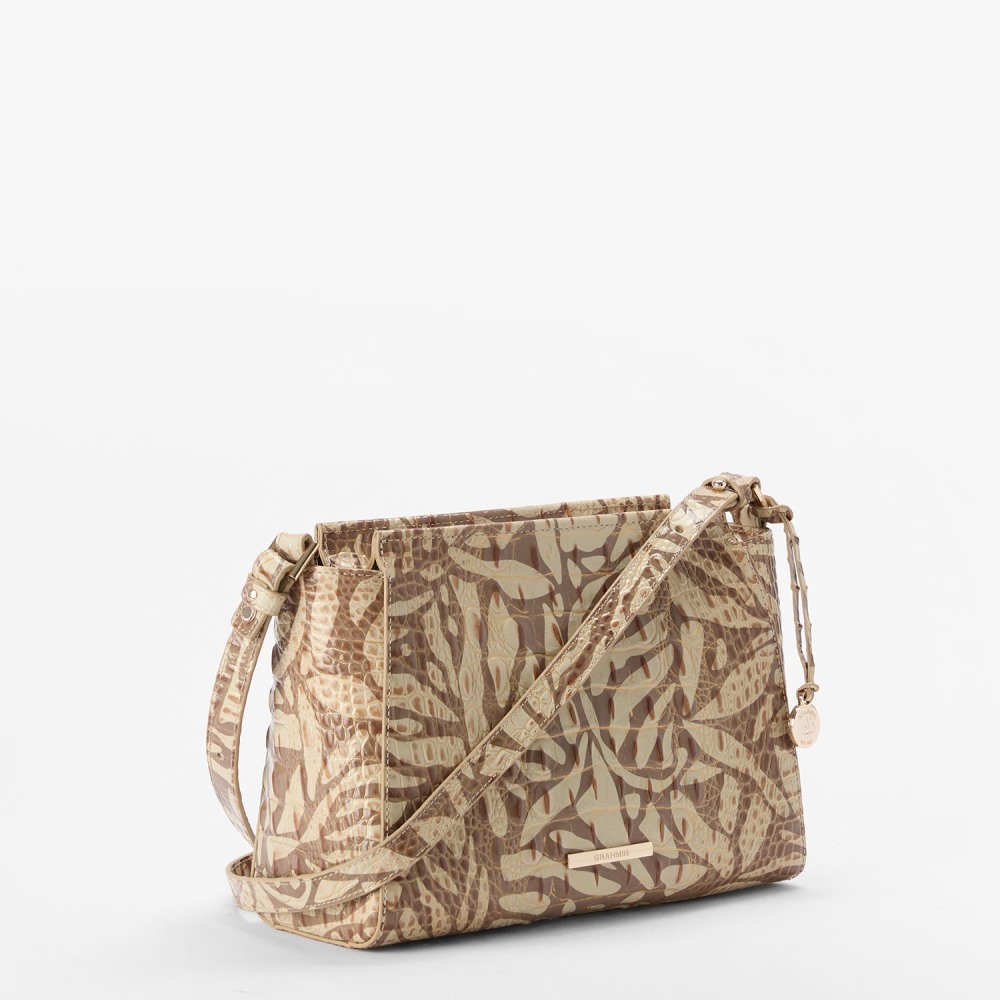 Brahmin Hillary - Stepping Stone Melbourne