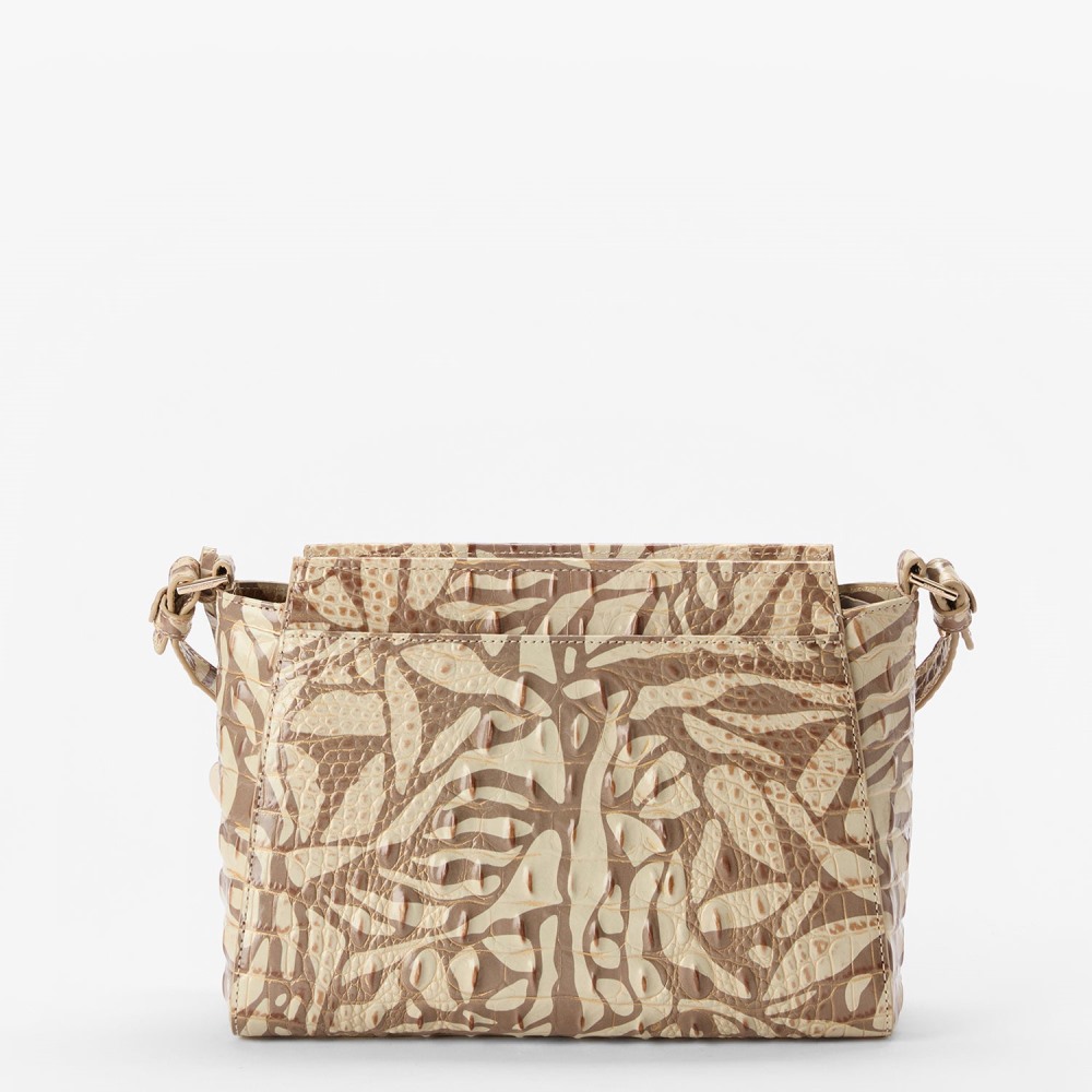 Brahmin Hillary - Stepping Stone Melbourne