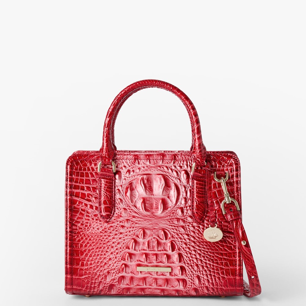 Brahmin Cami Leather Satchel - Embrace Ombre Melbourne