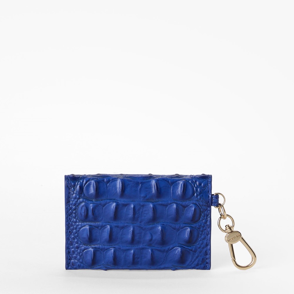 Brahmin Ricki - Blue Alden Road