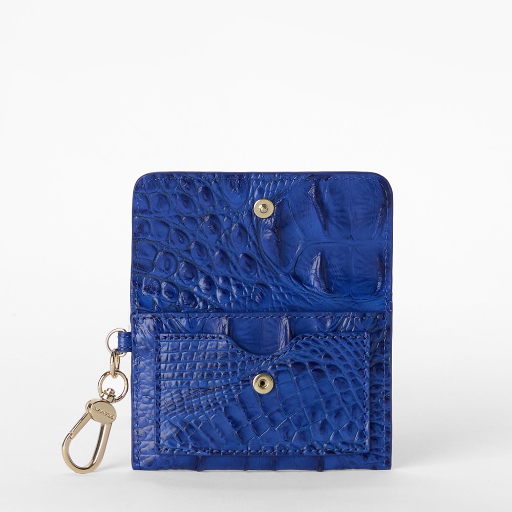 Brahmin Ricki - Blue Alden Road