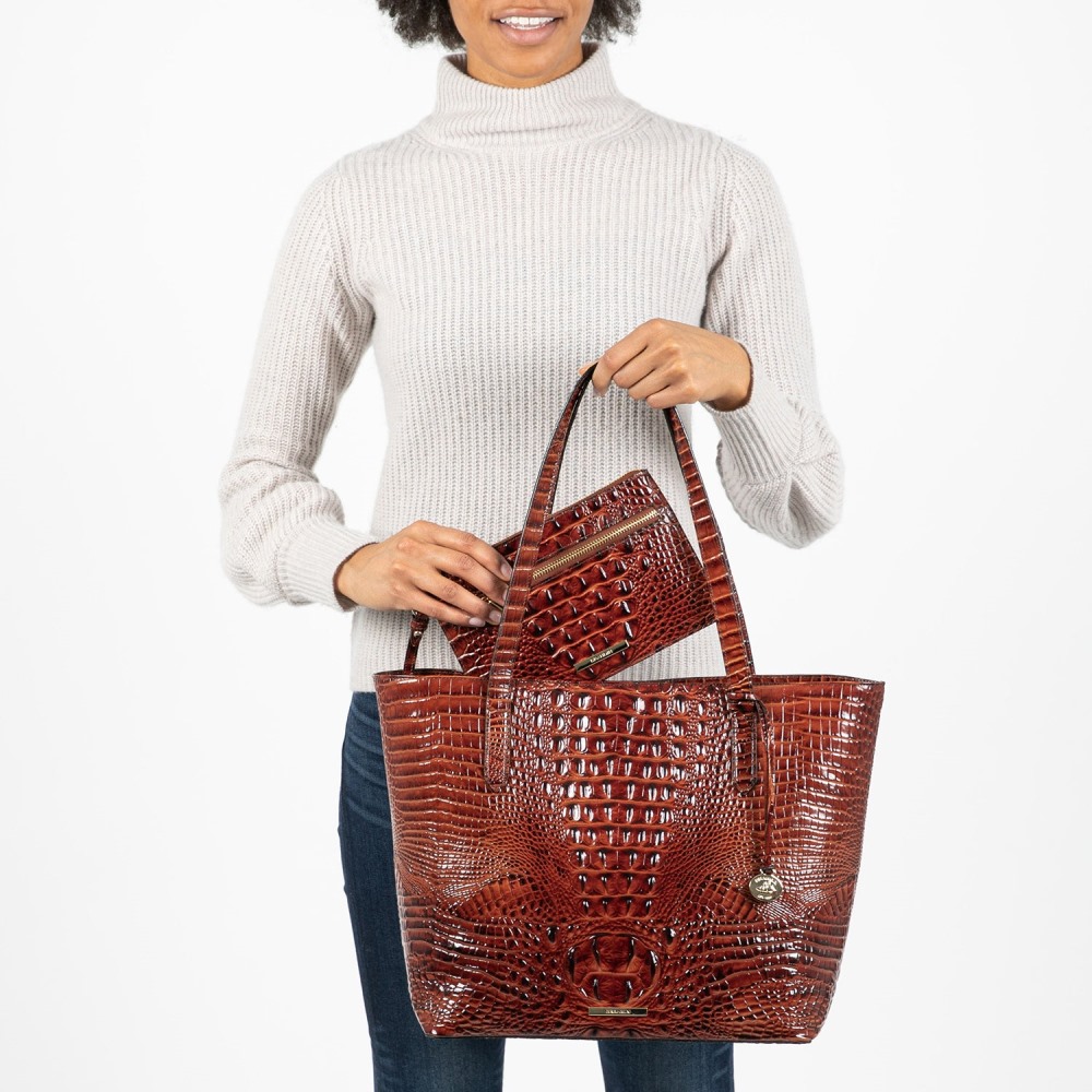 Brahmin Brooke Transparent Tote - Crimson Seagate