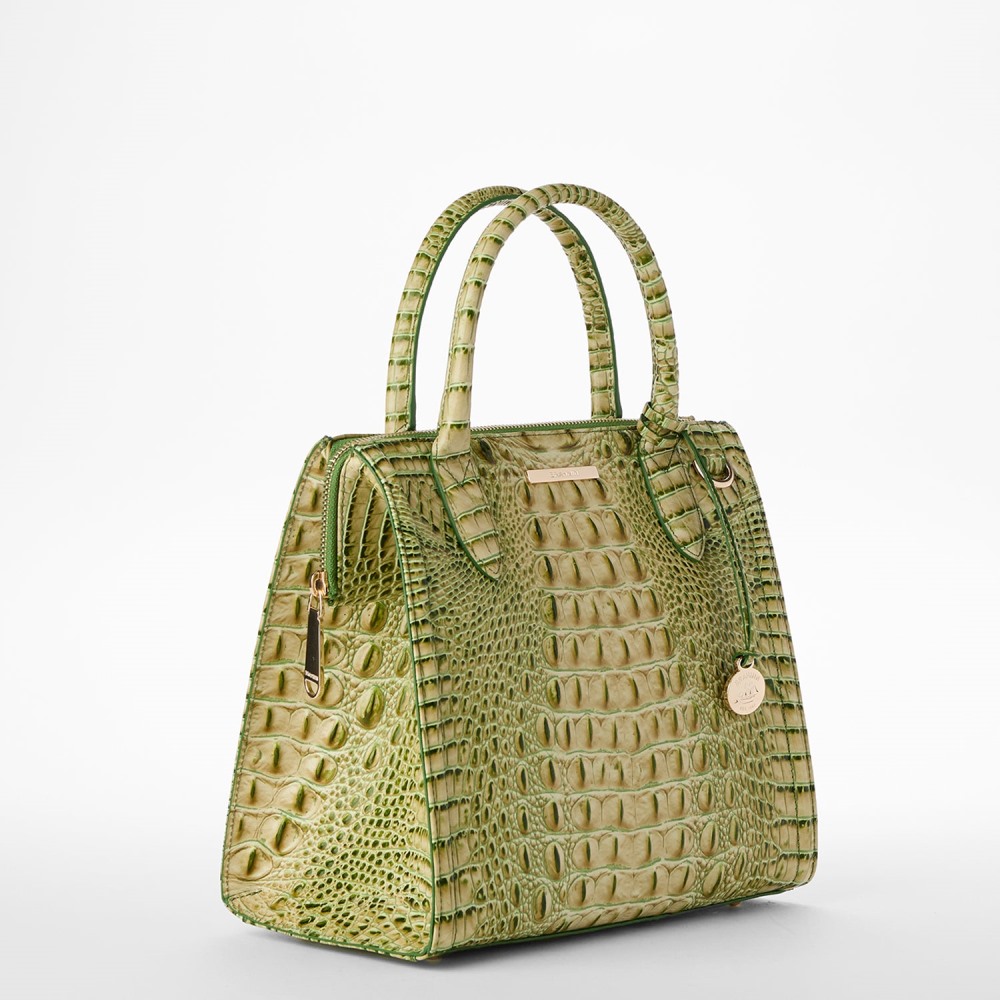 Brahmin Small Caroline - Fern Melbourne