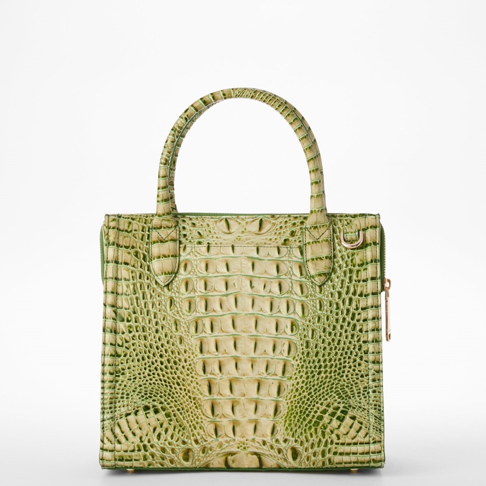 Brahmin Small Caroline - Fern Melbourne