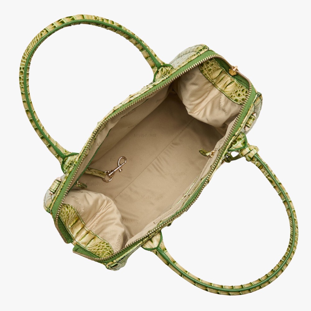 Brahmin Small Caroline - Fern Melbourne