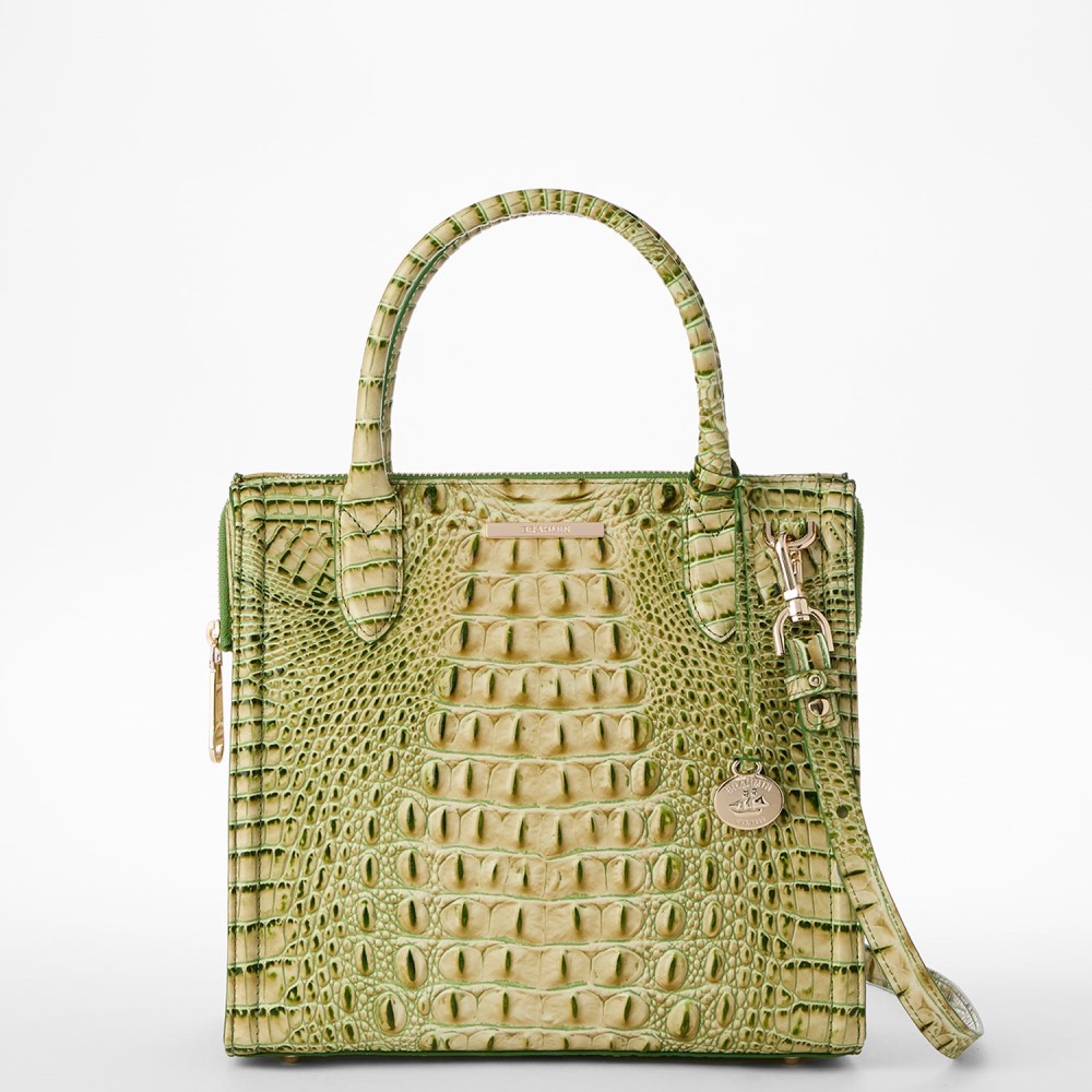 Brahmin Small Caroline - Fern Melbourne