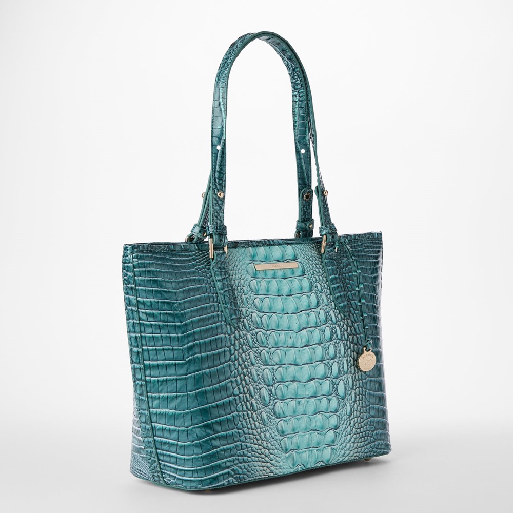 Brahmin Medium Asher Leather Tote - Spearmint Ombre Melbourne