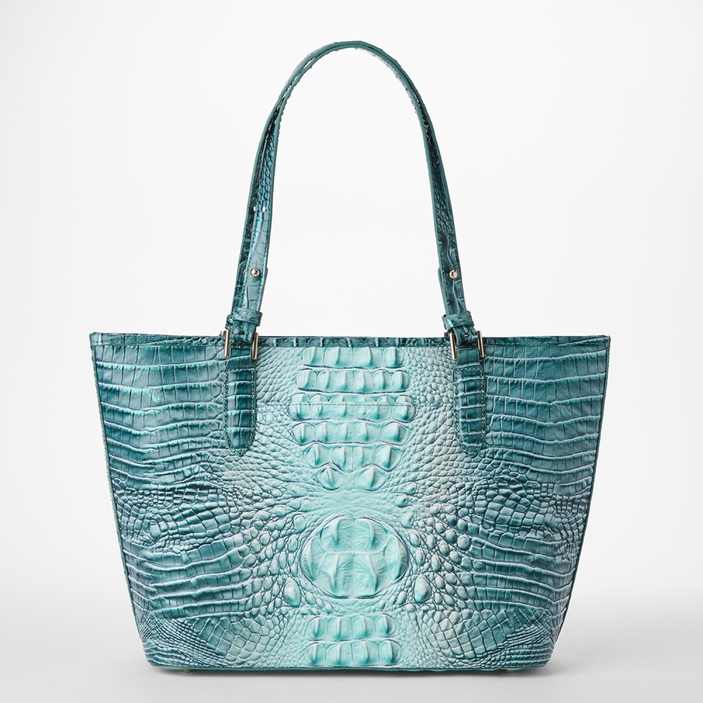 Brahmin Medium Asher Leather Tote - Spearmint Ombre Melbourne