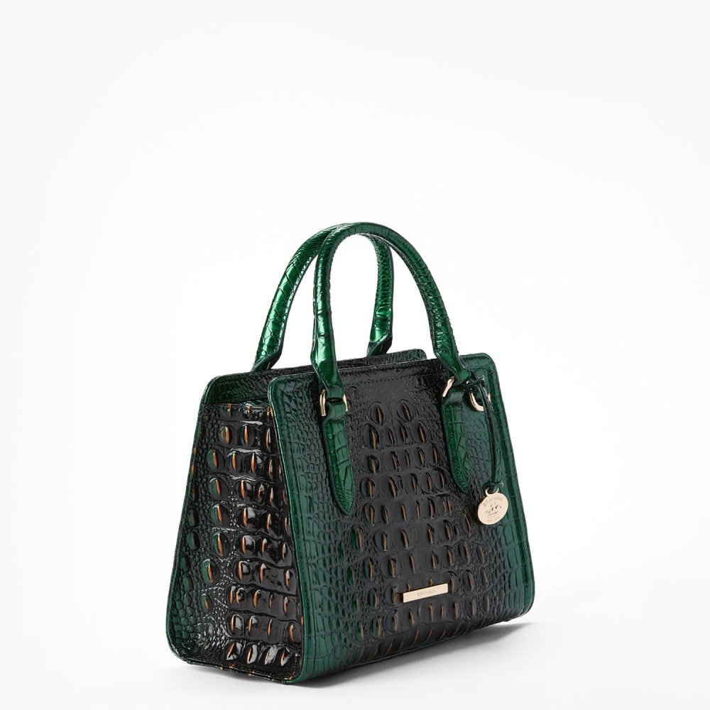 Brahmin Cami Leather Satchel - Evergreen Ombre