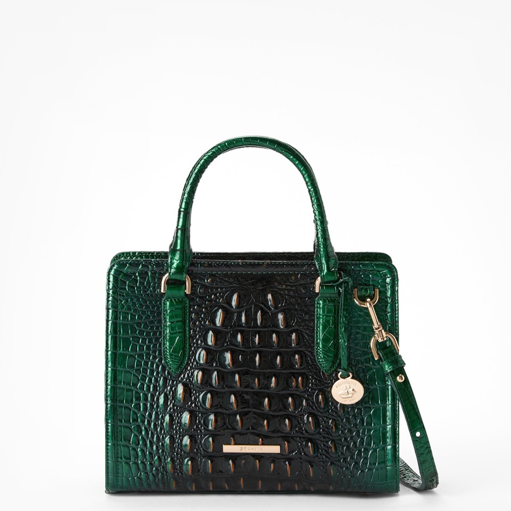 Brahmin Cami Leather Satchel - Evergreen Ombre