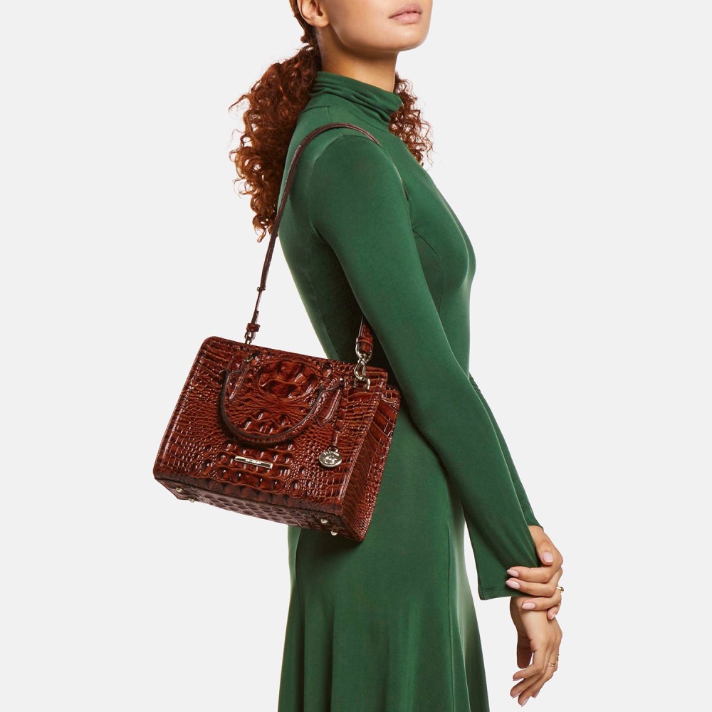 Brahmin Cami Leather Satchel - Evergreen Ombre