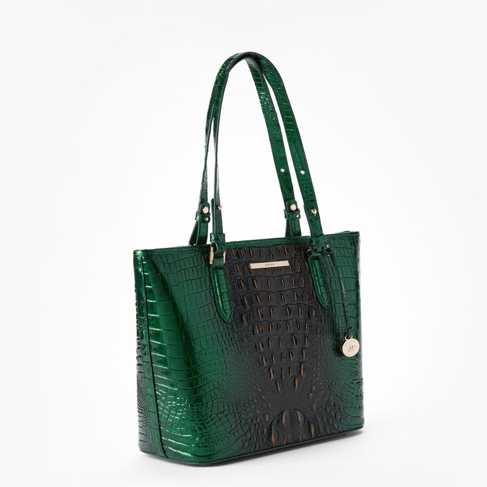 Brahmin Medium Asher Leather Tote - Evergreen Ombre