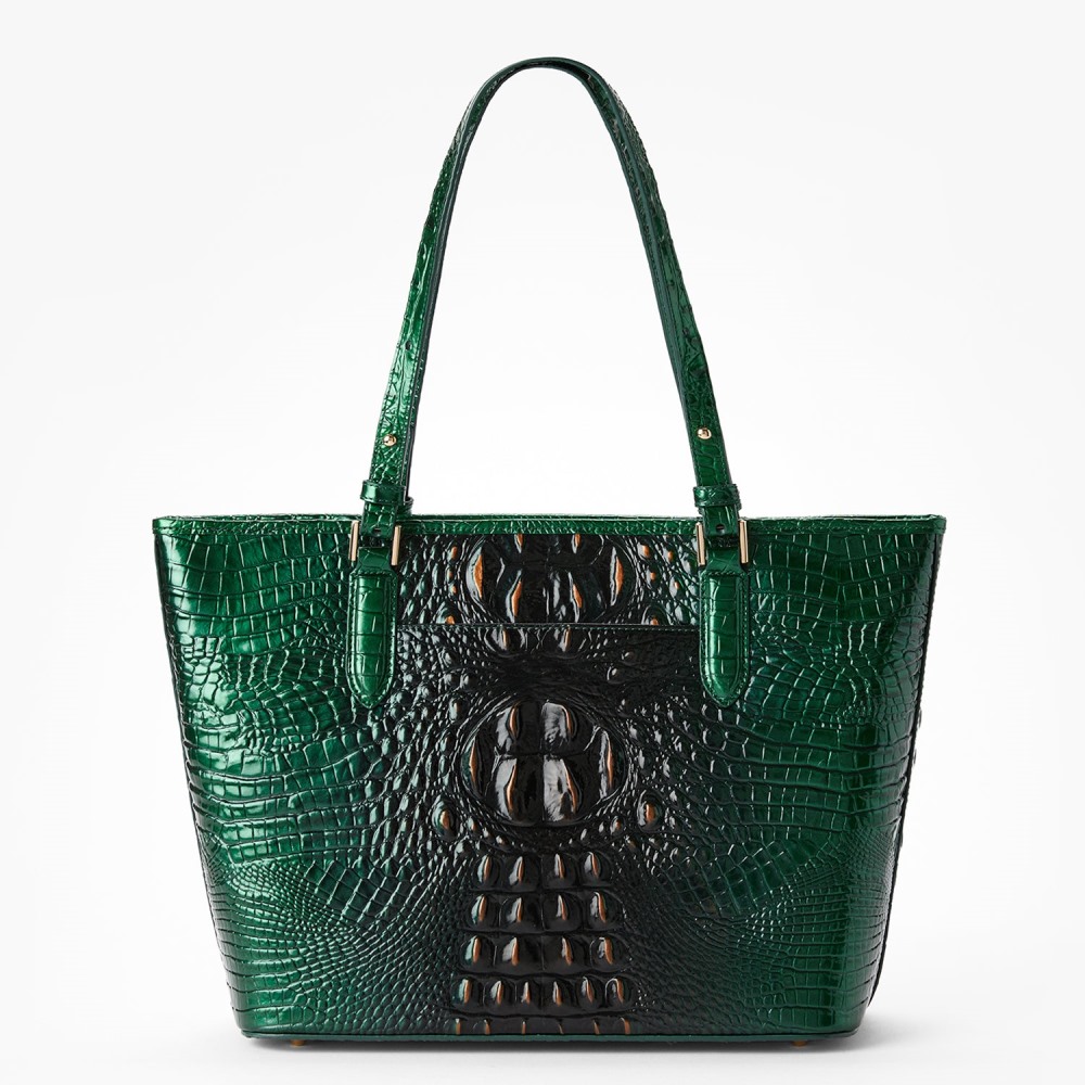 Brahmin Medium Asher Leather Tote - Evergreen Ombre
