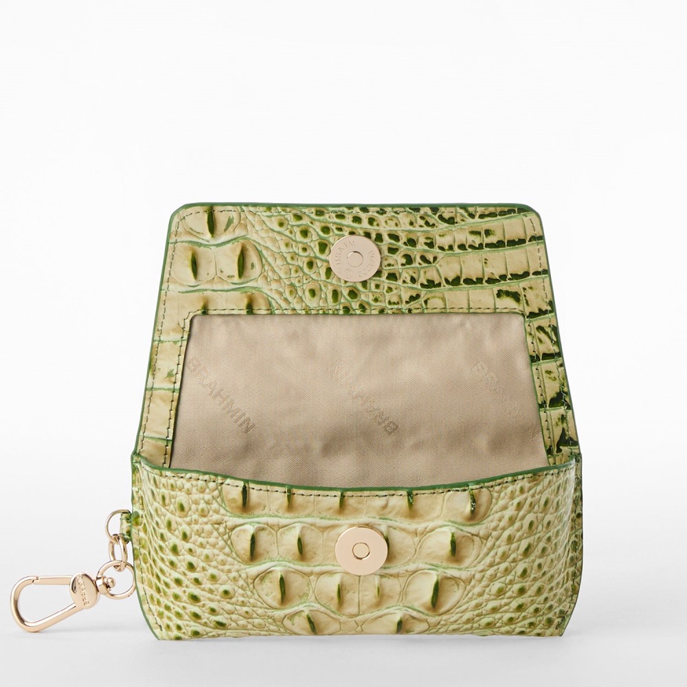 Brahmin Elora - Fern Melbourne