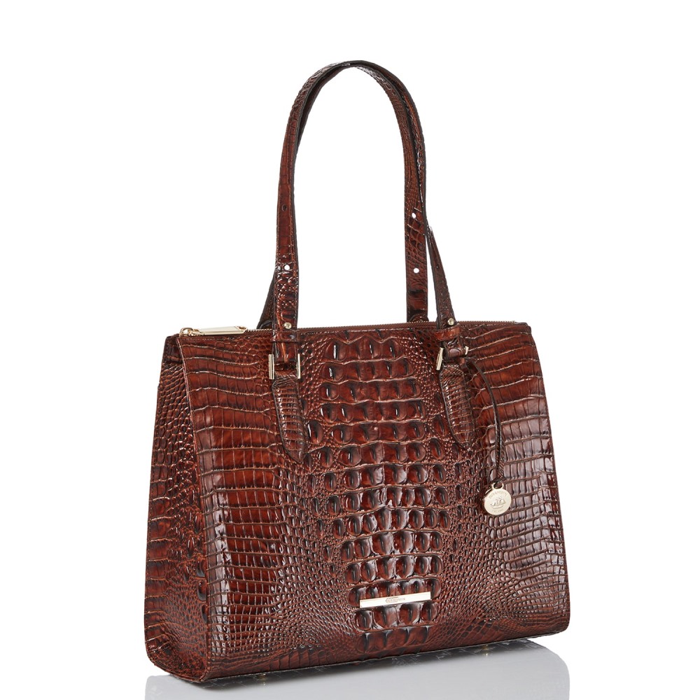 Brahmin Anywhere Leather Tote - Pecan