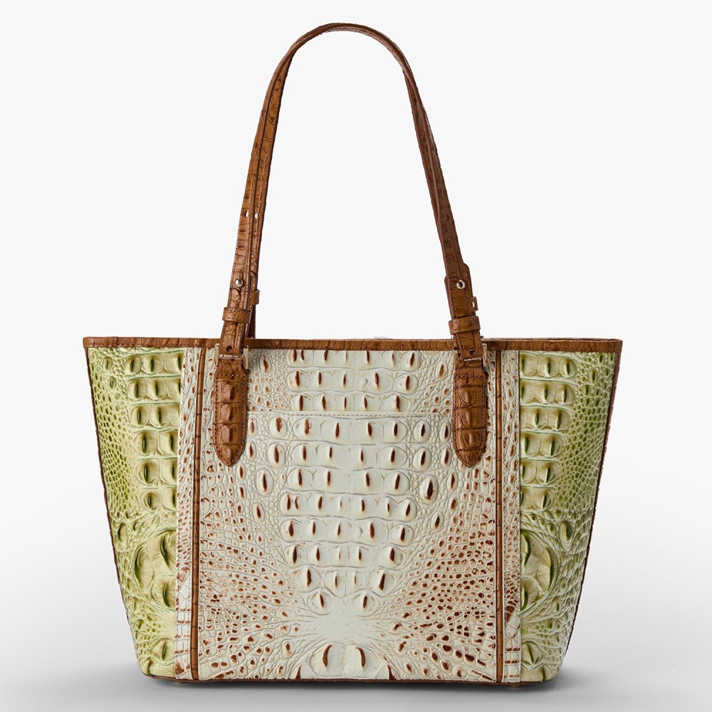 Brahmin Medium Asher - Fern Williamette