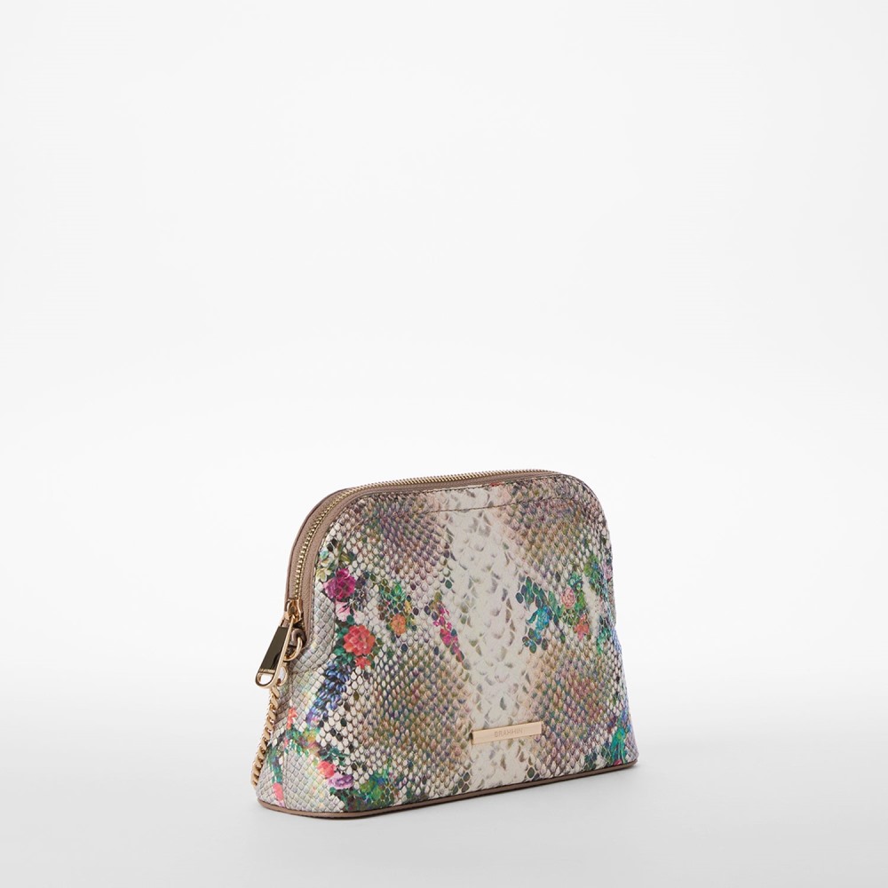 Brahmin Amal - Multi Piaffe