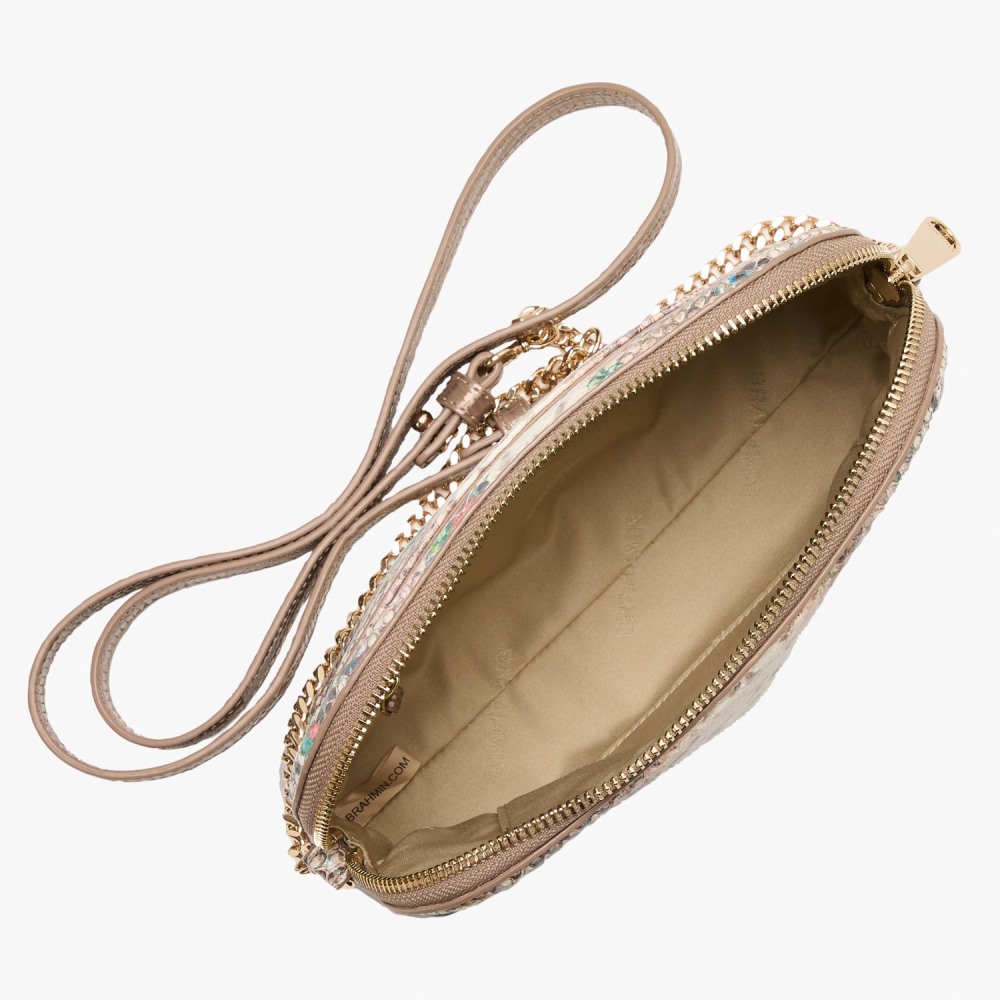Brahmin Amal - Multi Piaffe
